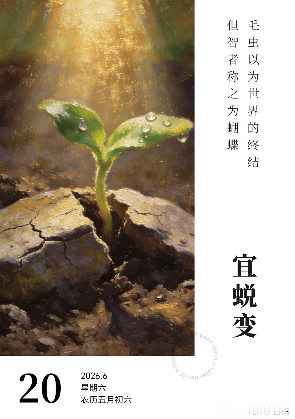 信任这个东西，一旦失去了，就很难找回来了