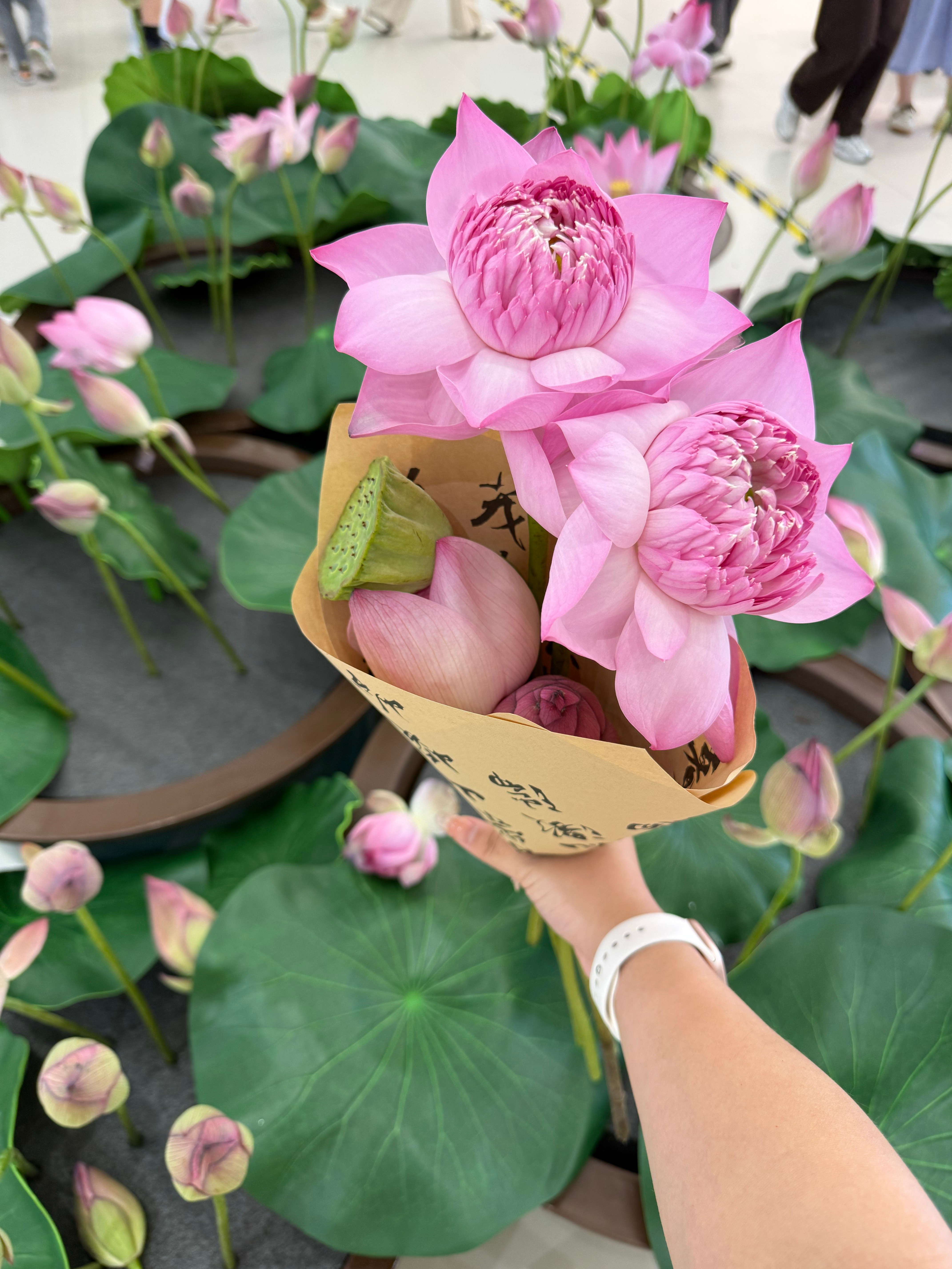 今天抢到了哥哥20块钱红包，路上偶遇漂亮花花希望你也能好运莲莲~九门爆爆爆吴老狗