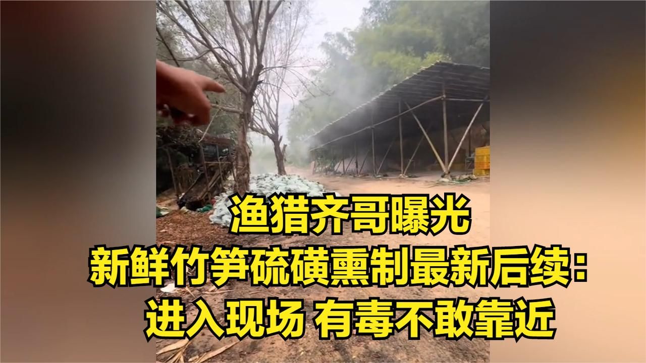 渔猎齐哥曝光新鲜竹笋硫磺熏制最新后续：进入现场，有毒不敢靠近