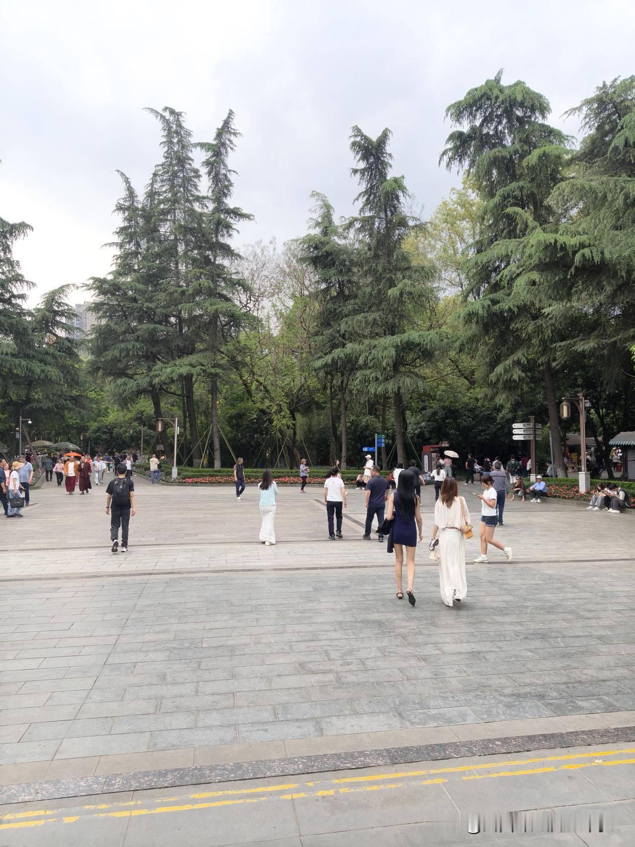 今天太忙了，我的文章《饶恕》要断更了。
早上七点半到雇主家，把粥煮上。宝妈在厨房