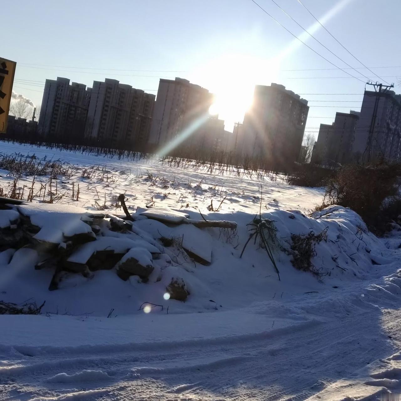 分享一张雪景图雪落人间，宛如一场梦幻的盛宴，惊艳了时光，温柔了岁月