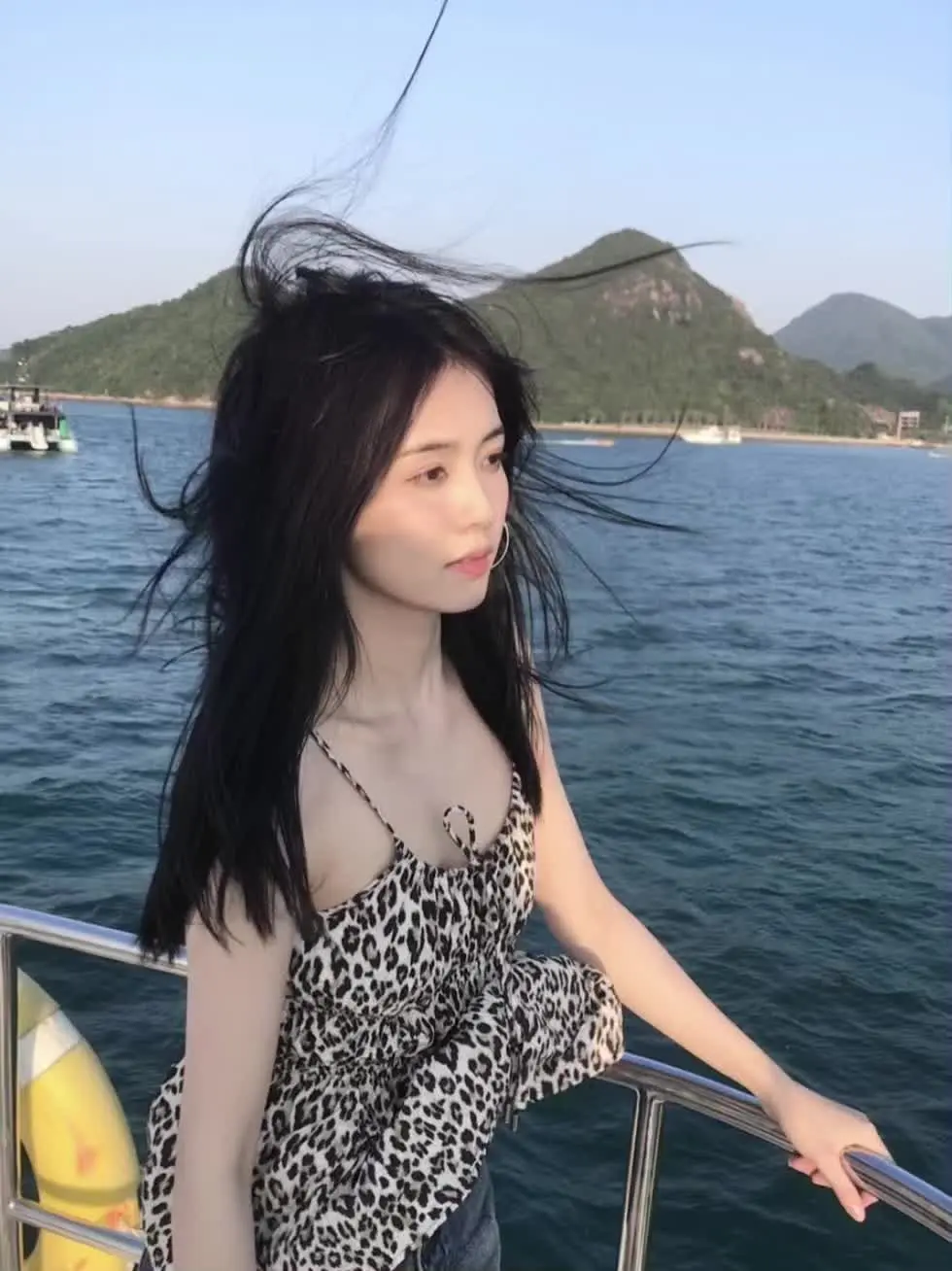 看日落 白鹿