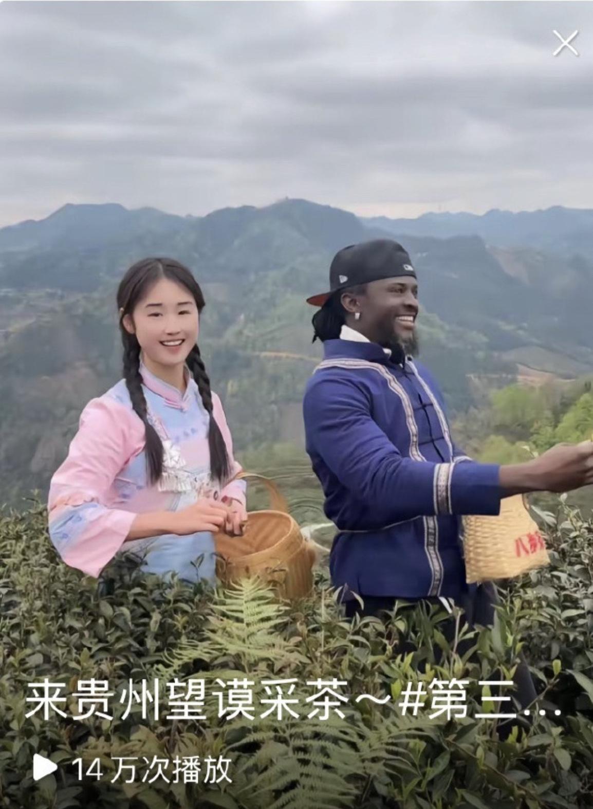 贵州这个地方的茶叶是非得找个外国黑人男子来宣传吗？
在宣传采茶的画面里，只见一个