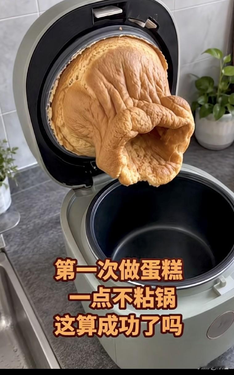 不粘锅，粘盖儿