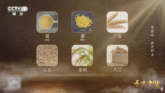 从3升土里淘出秦人食谱2000多年前的垃圾桶考古太有意思了！从3升土里淘出秦人食
