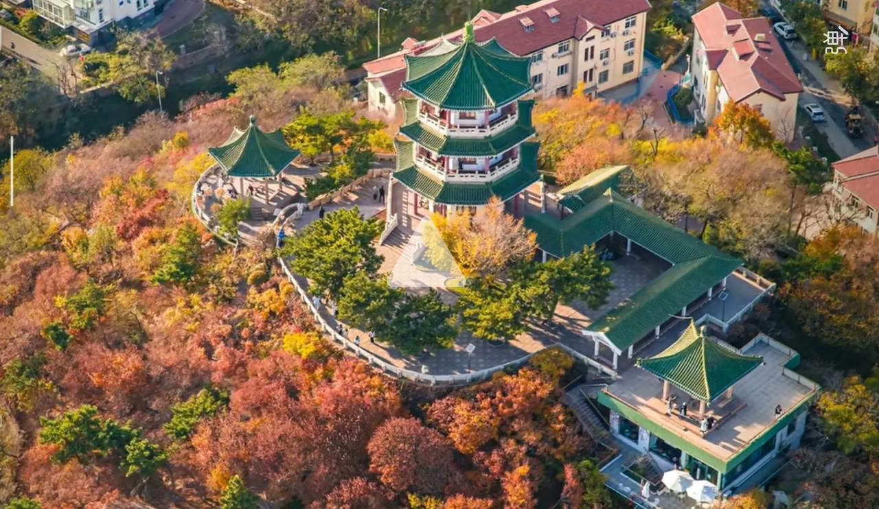 读书的意义是什么呢？
    当我看到秋日，儿子所在的大学，风景如此之美时，我忽