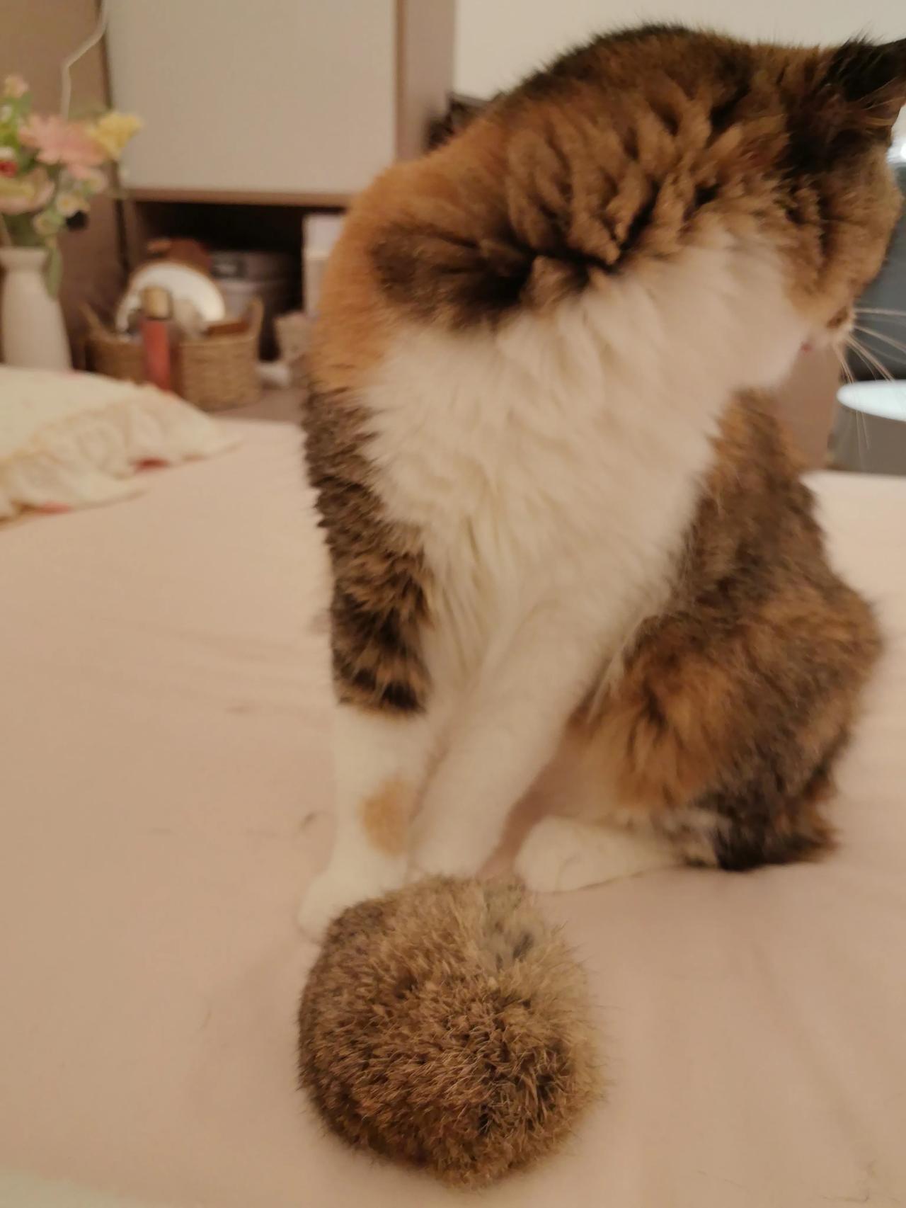 年少吃苦和年老吃苦,哪一个更苦?