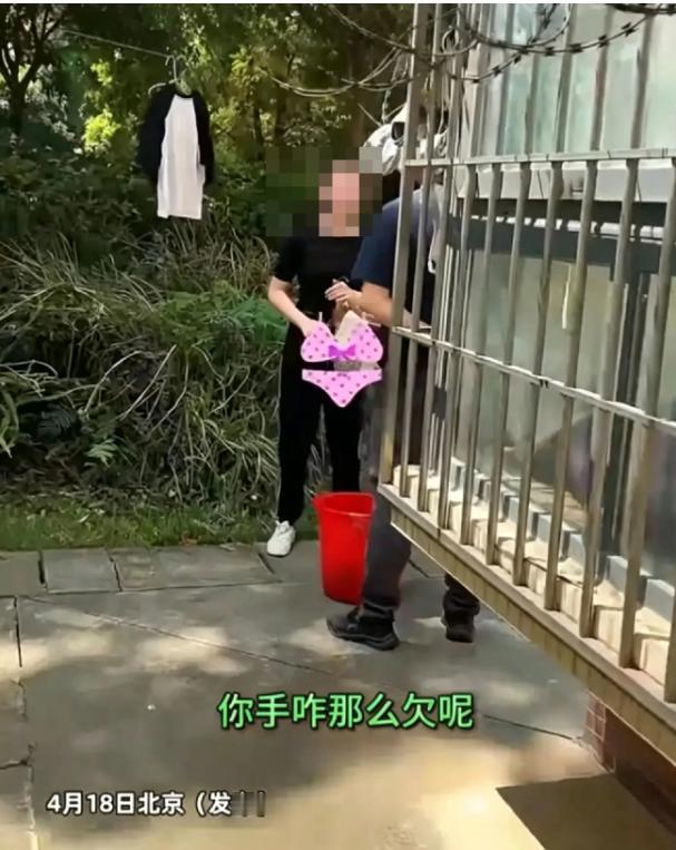 “吵起来了！”北京，女孩将自己的内衣内裤扔在洗衣机里洗，洗完后她不晾，爸爸看到后