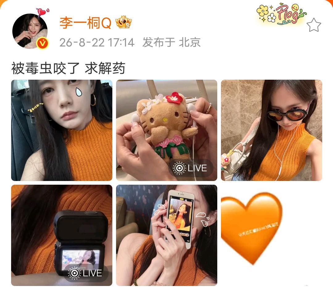 不儿 老金桐她俩啥意思啊 