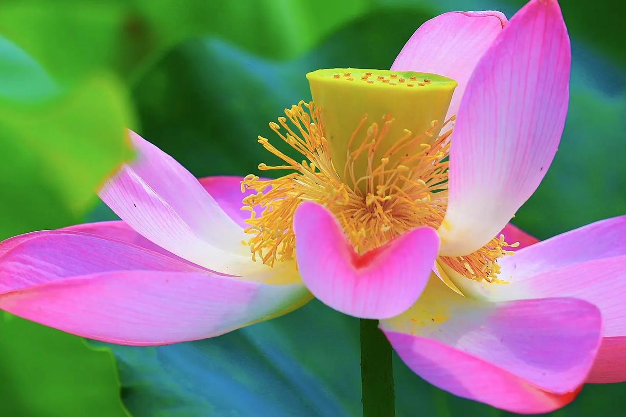 #夏日生活打卡季#
慢慢行，满满爱，漫漫未来……
