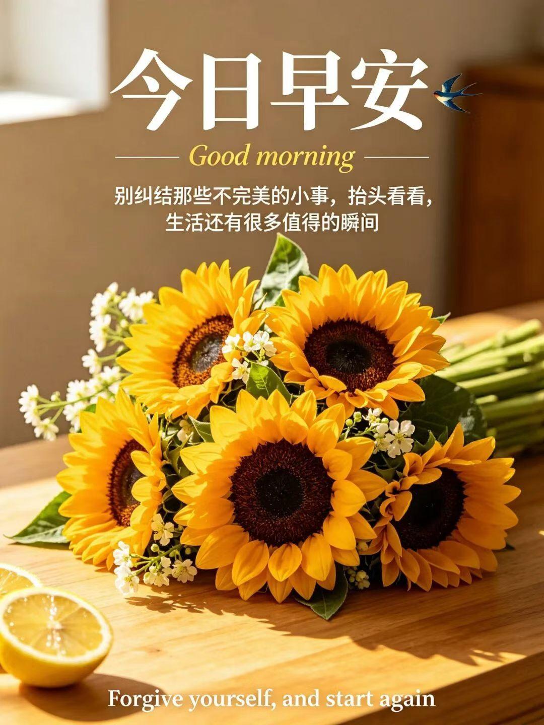 不必时时紧绷，
也不必处处用力。
日子不是比赛，
你也不需要时时冲刺。
慢一点、