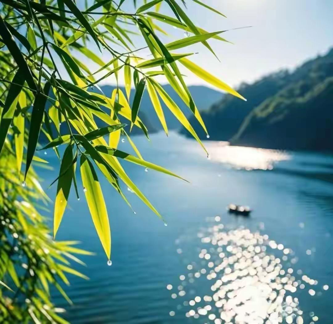 我的真实、动人、充满力量的高光时刻
 
1996年，高考前两个月，我回了家。父亲