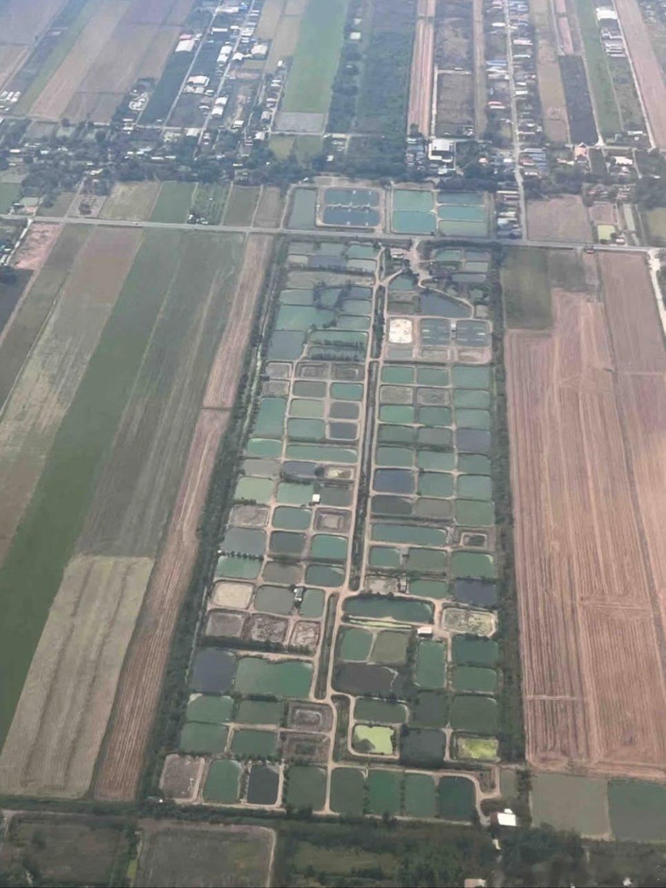 原来大地色眼影真的是大地的颜色
