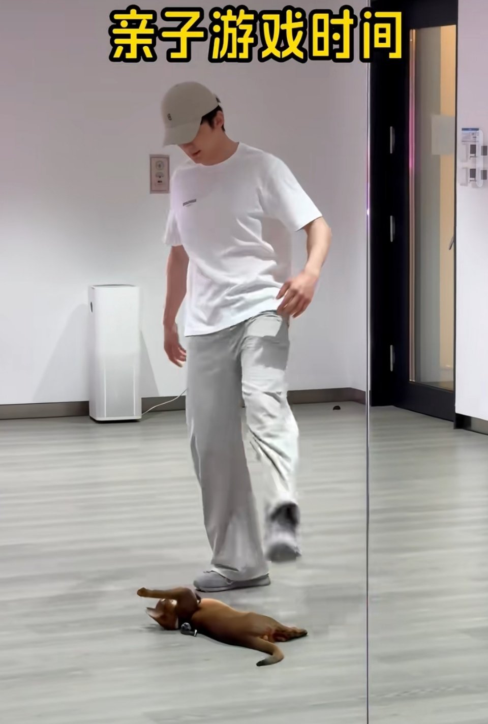 还是打子和爹有意思 