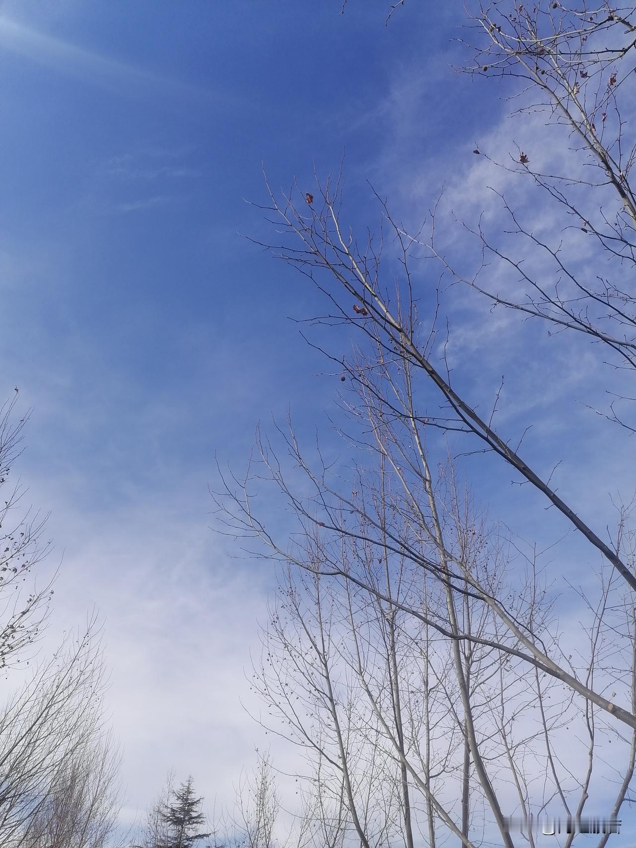 带1000元去嫣然医院出院还剩990人间大爱啊，现在去趟医院，挂号费就得10元，