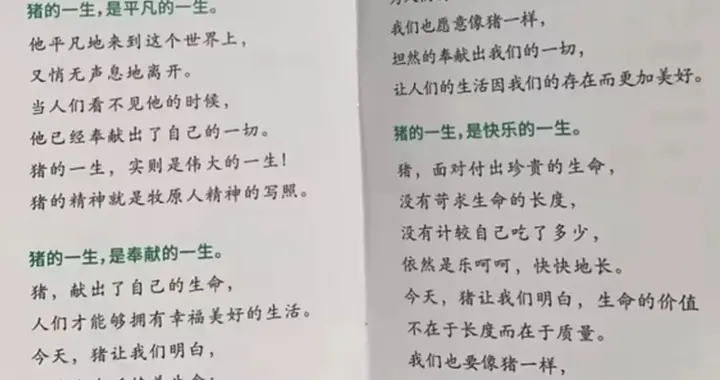 “像猪一样奉献”：企业文化不能只剩下感动自己 | 实习生选拔赛