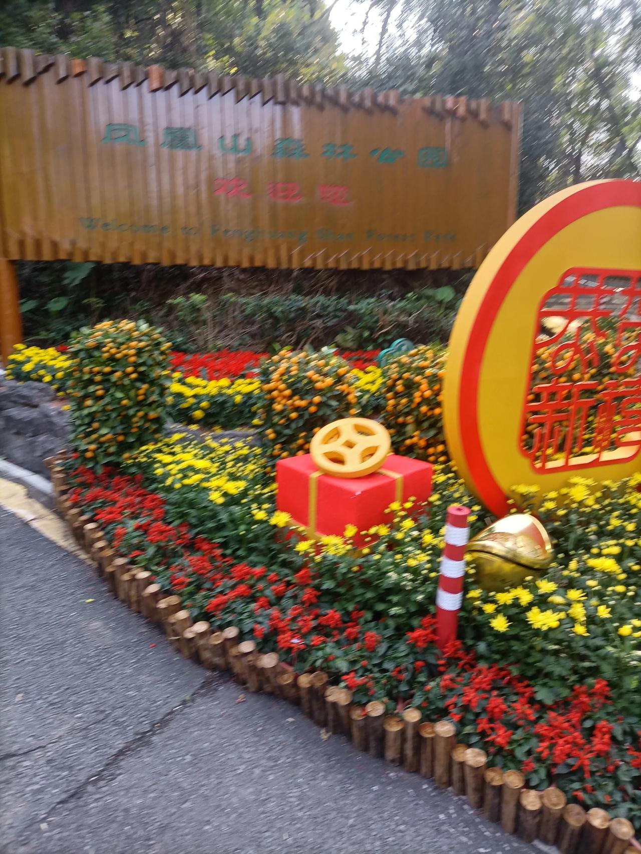 今天是大年初一，北京的雍和宫烧香许愿的人川流不息，深圳的凤凰山可以说是宝安的“雍