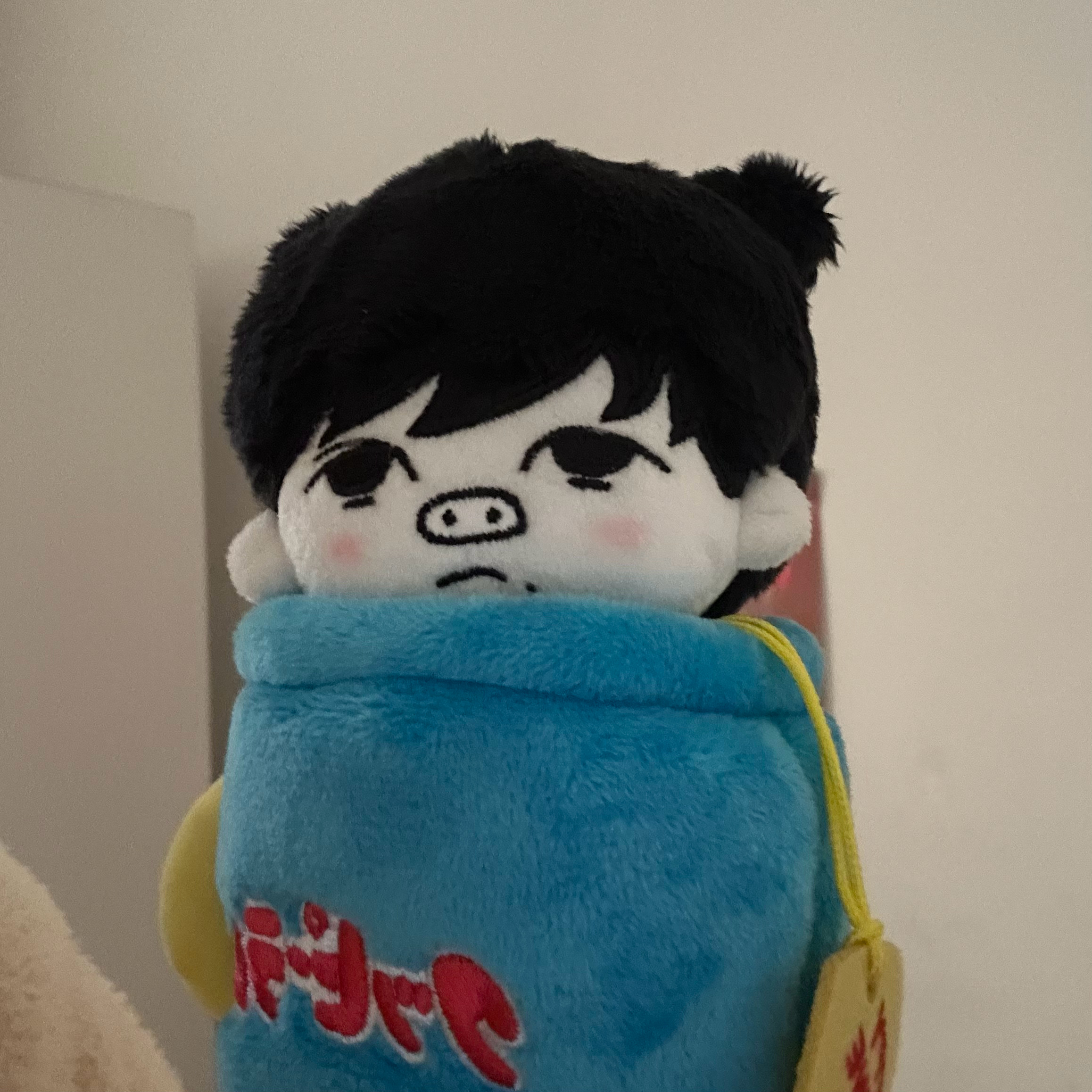 前几天视频 看积木问我最近在做什么 “给猪拍照？”“嗯对就是给猪拍照” 