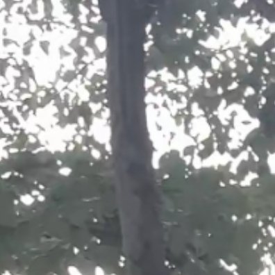 0000爱自己，爱生活，爱思考，爱行走，爱发现，爱探索，愿意拥有，愿意路过，愿意