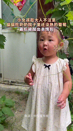 看完小女孩偷吃青葡萄的视频，一下就拉回了童年时光。河南周口这小姑娘趁家长不留意，