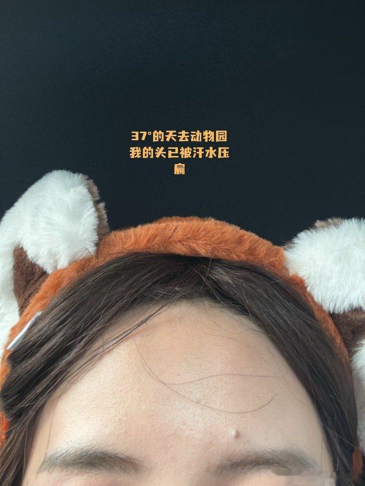 我已经快撑死➕热死在南京了！明天我即将睡一整天 然后把我的vlog剪辑出来