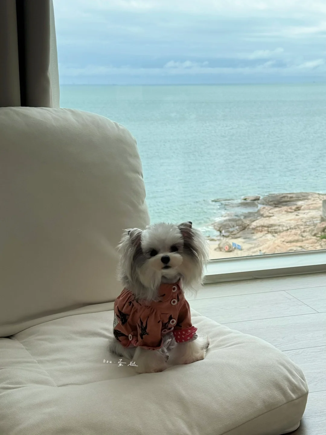 偷穿了爸爸衣服的崽