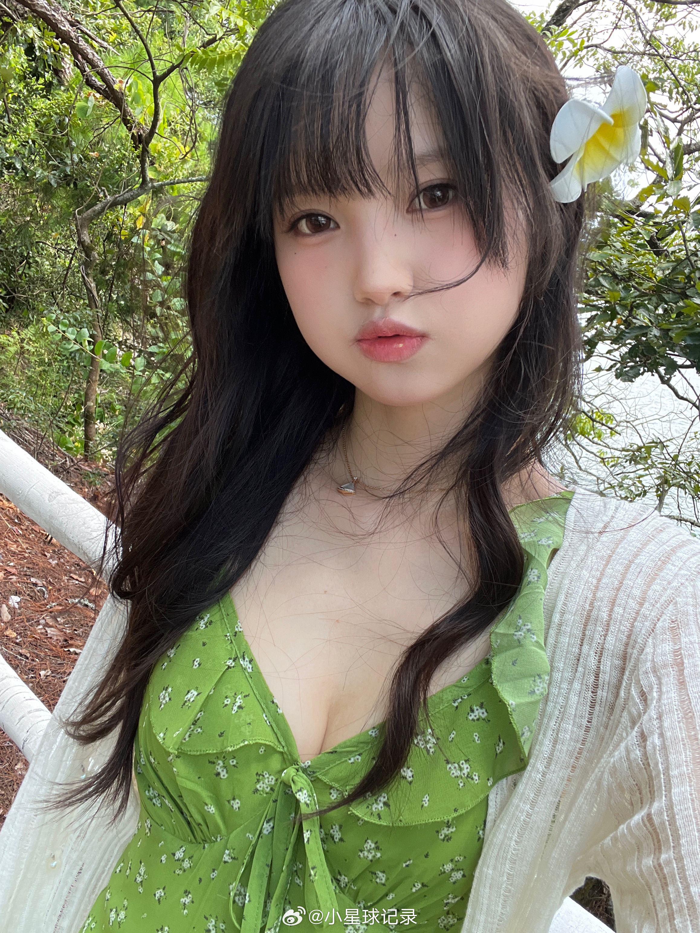 肆意生长的绿💚 ​​​