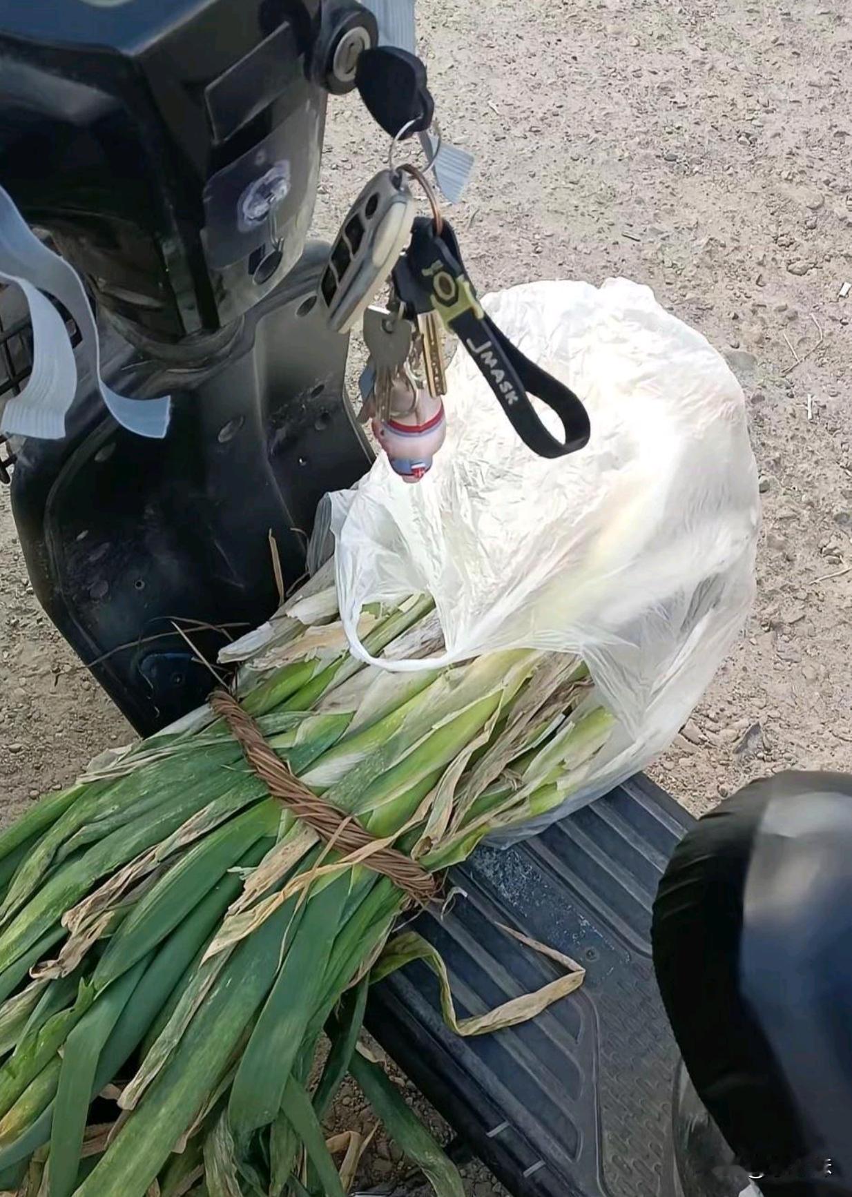 一个朋友说在他们北方，买葱都是论捆称的。不像我们南方论颗买，一颗还得两三块钱。 