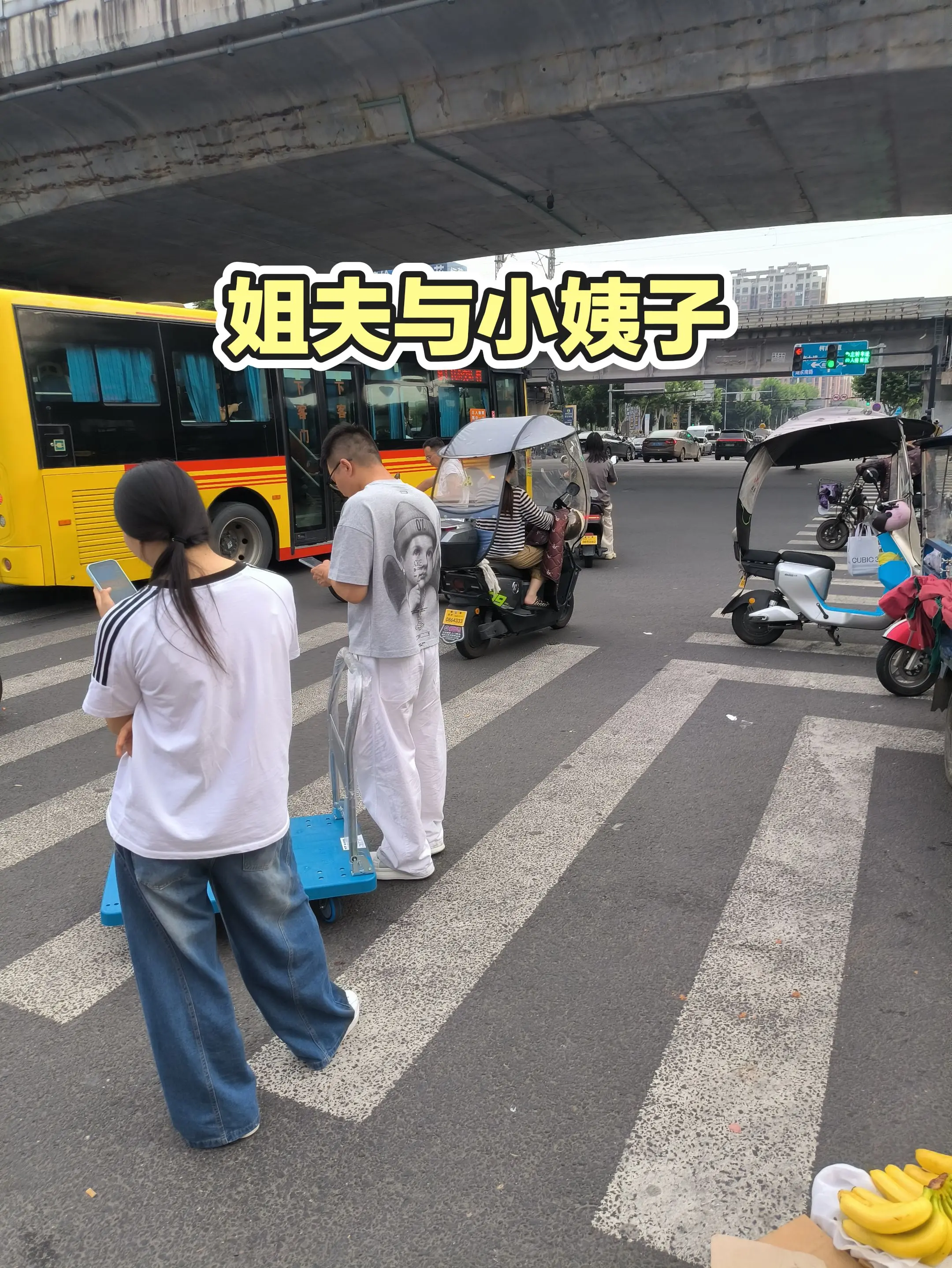 每日分享