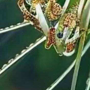 正能量最高级的活法，从不是事事精明、处处占先，而是揣着明白装糊涂，守着清醒度余生