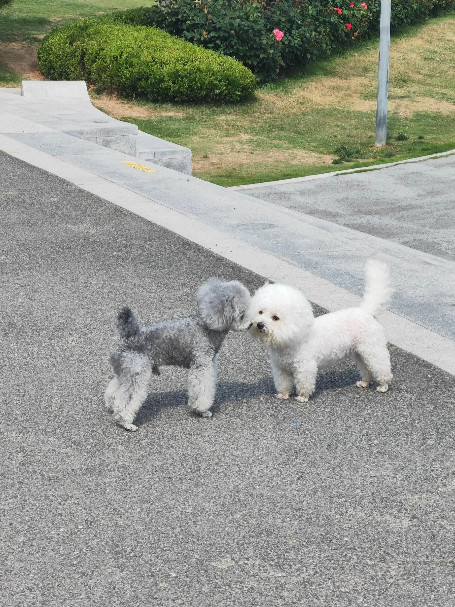 修勾贴贴🥺🤲🏻 