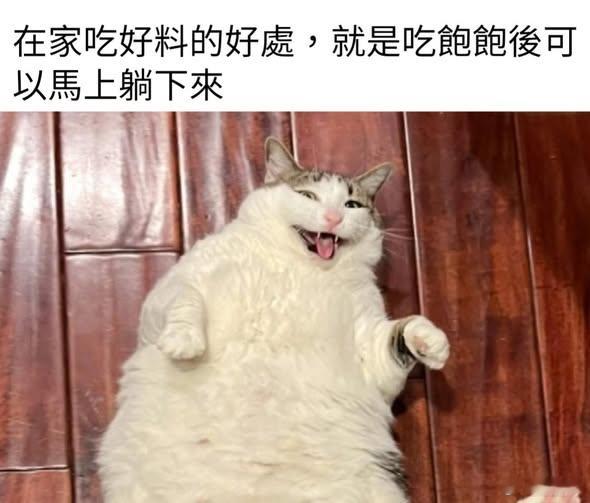 当爸爸妈妈的宝memes迷译图