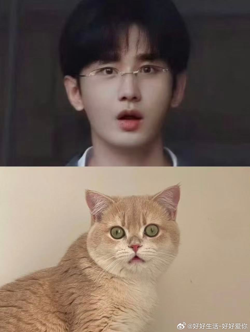 剧集狩谎 今天可以看到林彦廷吗？ 