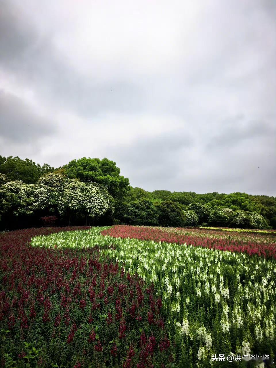 有人说洪攻略可以让人越来越好看，哈，问了一下大模型，逻辑通。

丑人多作怪：长相