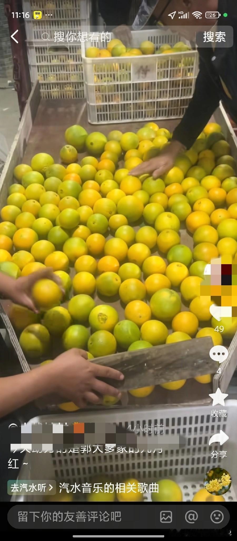 家乡的桔子熟了，家乡的村干部又开始努力地直播带货了，头条的友友们，也来尝尝我家乡