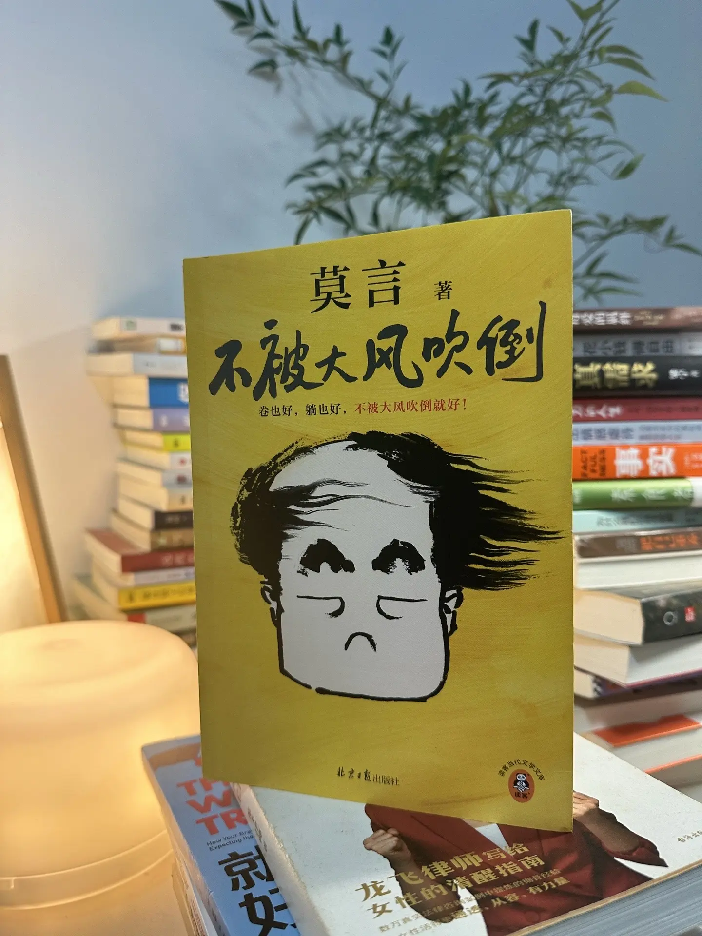 卷也好， 躺也好！ 翻开这本书， 不被大风吹倒…