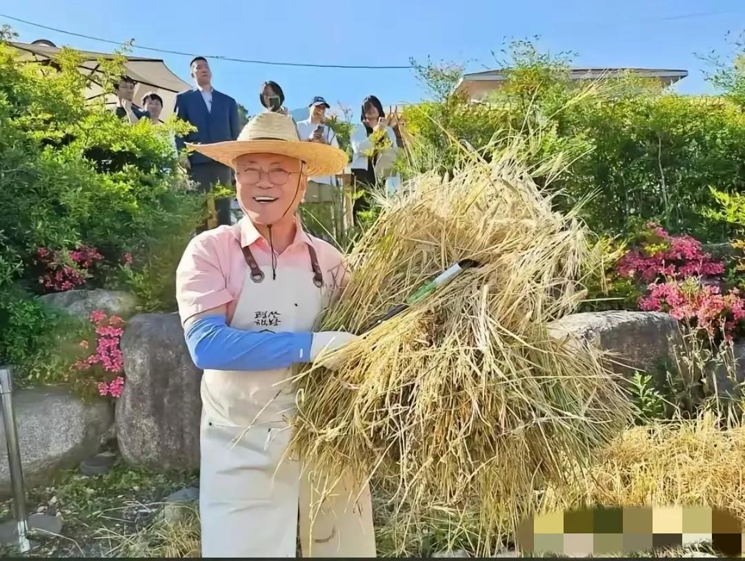 文在寅真的是好搞笑一个老头！
李在明上台之后，知道自己不会被找麻烦了，今天在社交