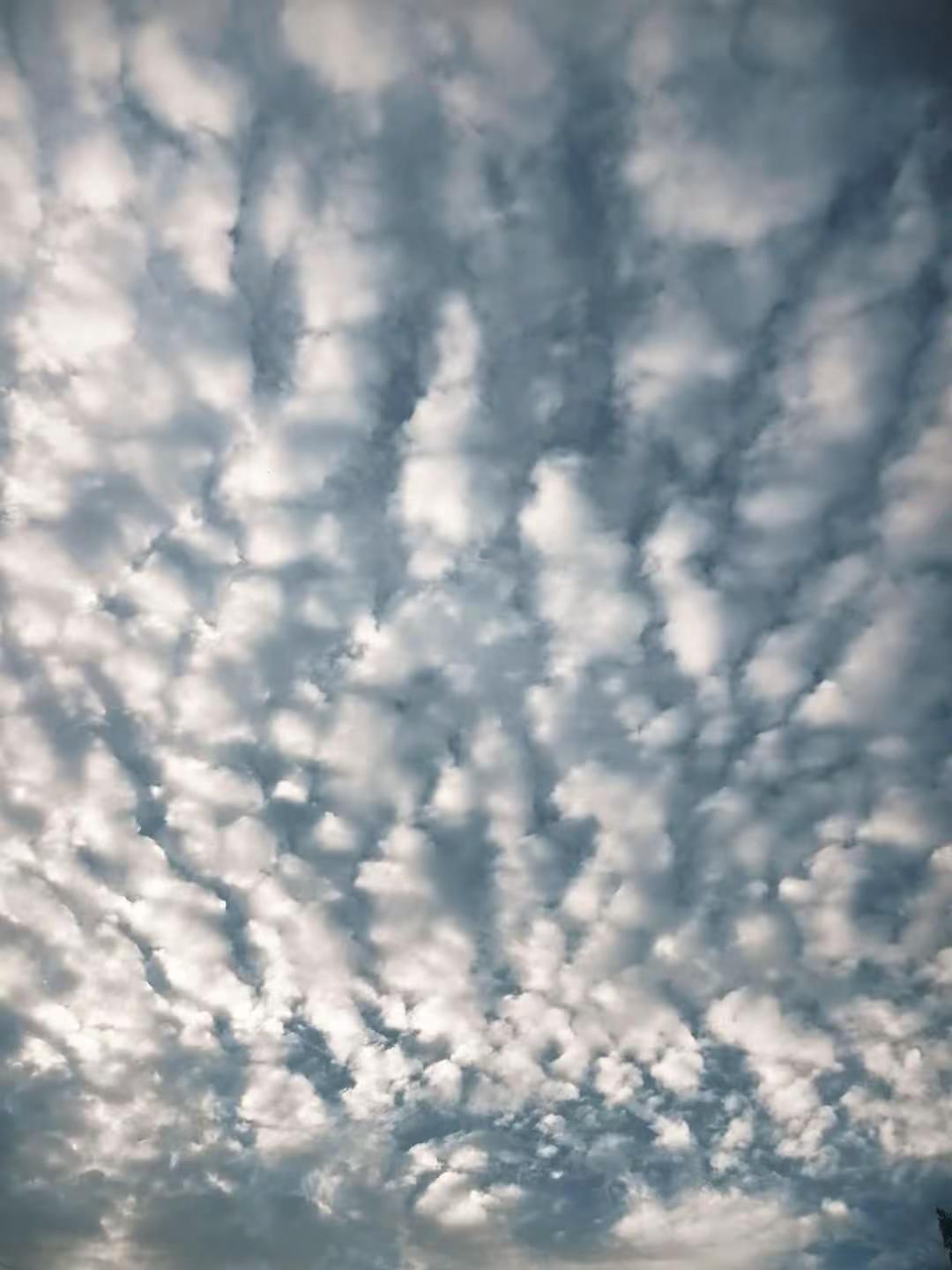 生活顶着一分甜，冲淡那九分苦，生活就是这样，有点忙，有点累，有点苦，有点烦，但也