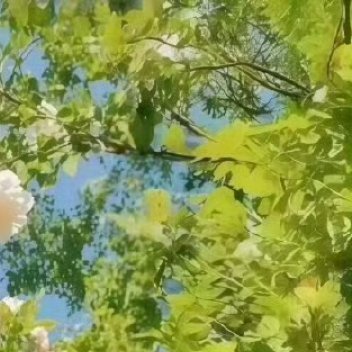 1900要得到你就必须要付出，要付出你还要学会坚持，如果你真的觉得很难 ，那你就