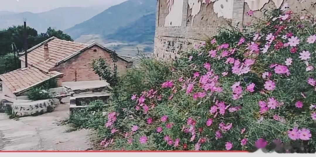一年来，我去了很多山西的小村庄，看到了那些深藏在大山深处，无人问津的最纯粹的风光