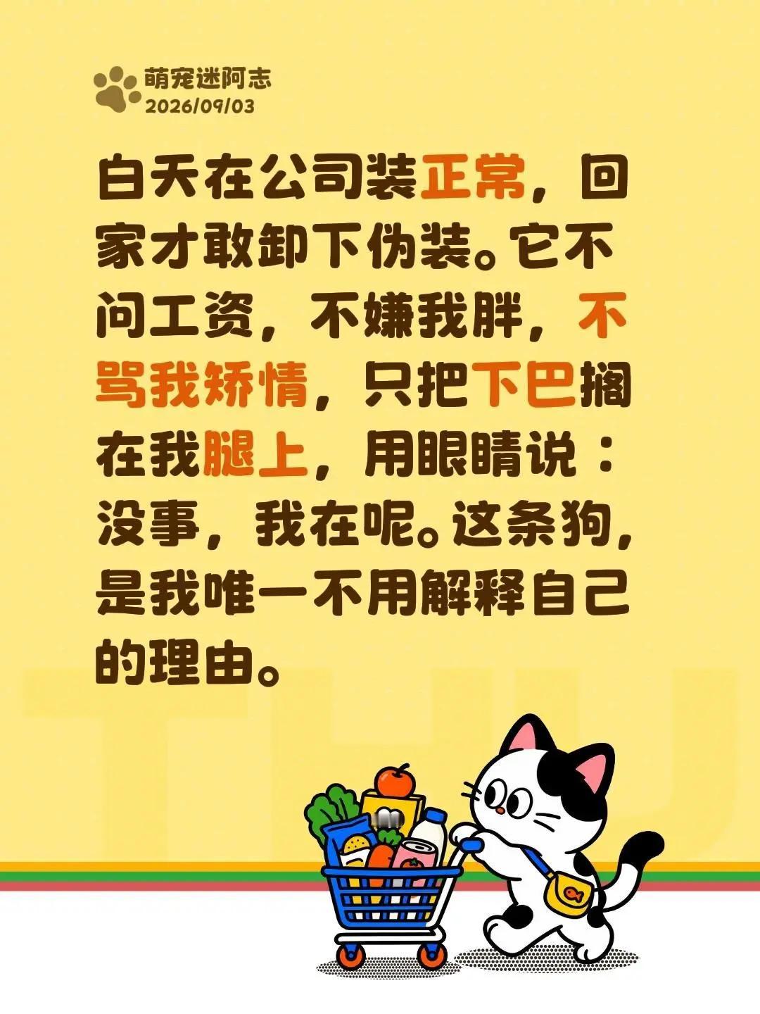 只有狗知道我有多累。白天在公司装正常，回家才敢卸下伪装。它不问工资，不嫌我胖，不