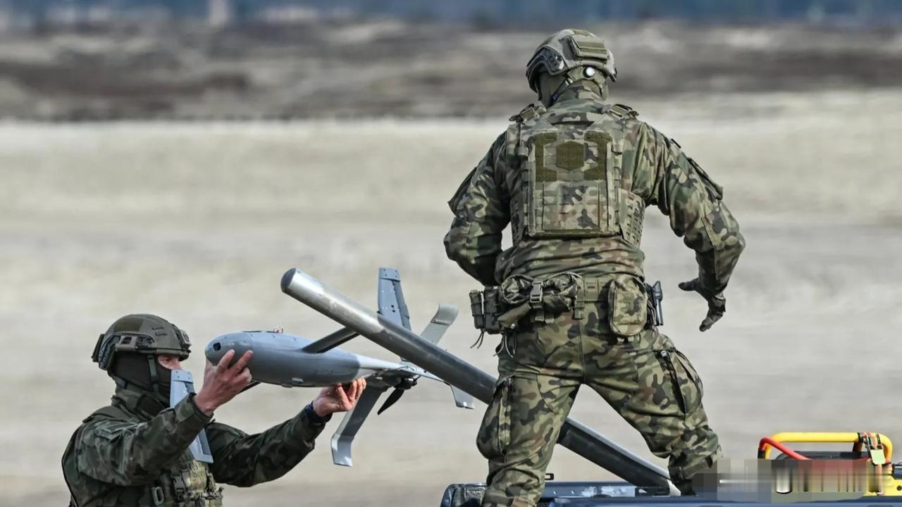 欧洲最大的几个军事强国，正在启动一项新的防空项目。

英国、德国、法国、意大利和