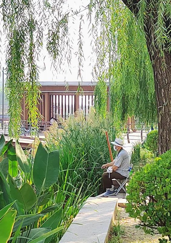 这首《七绝•半日清闲》极具画面感。“陌路风随半日闲”，瞬间将那种远离尘世喧嚣、悠