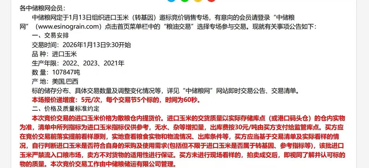 1月13日进口玉米持续竞拍。