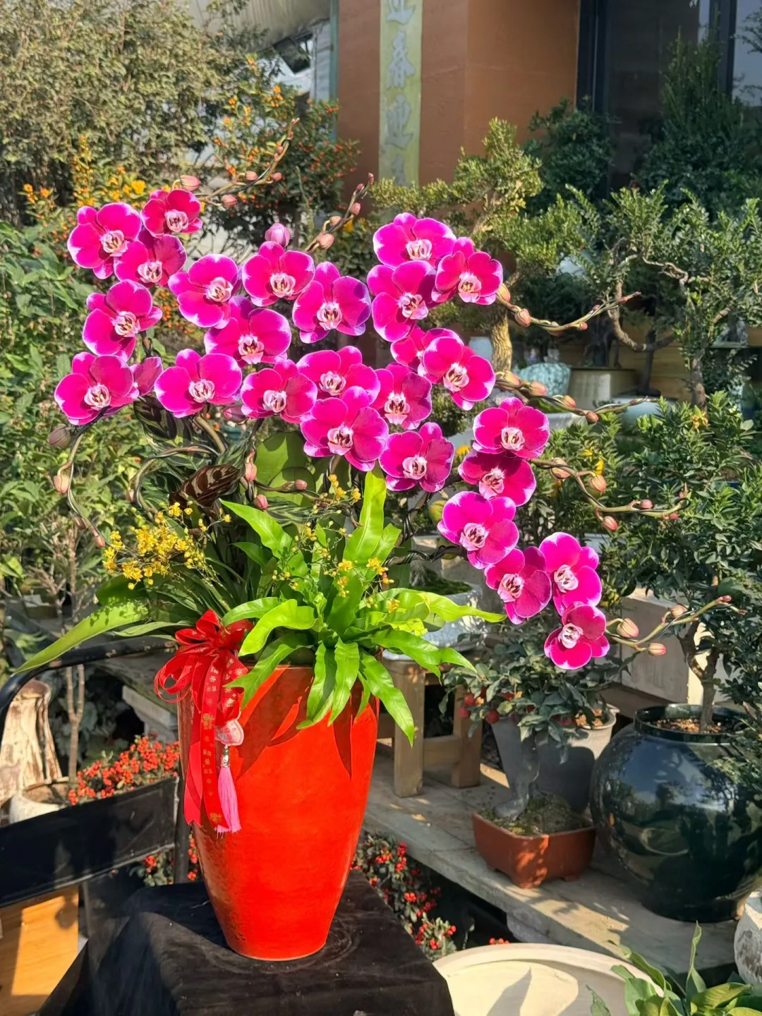 深圳香港全程送|top4