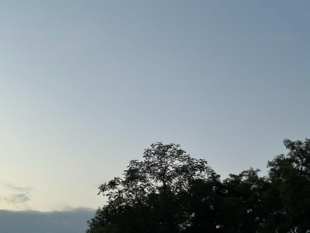 得在夕阳的树🌳旁边荡秋千是很快乐的时光 