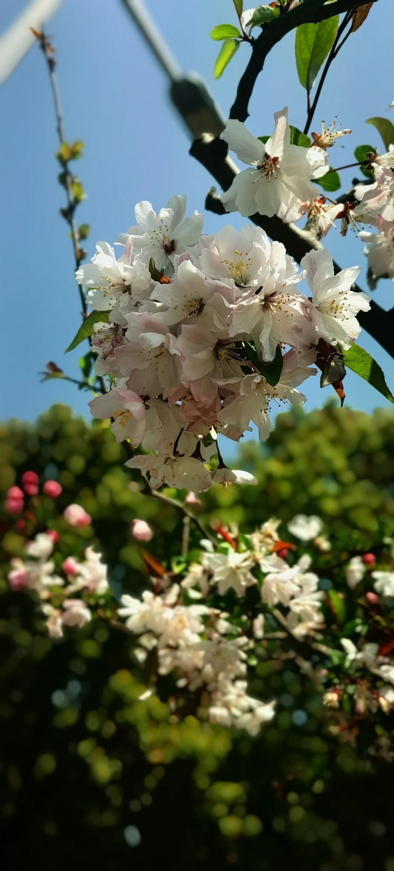 人生迷茫之际，读此书顿感豁然开朗
你是否有过在人生的岔路口彷徨，被迷茫、焦虑死死