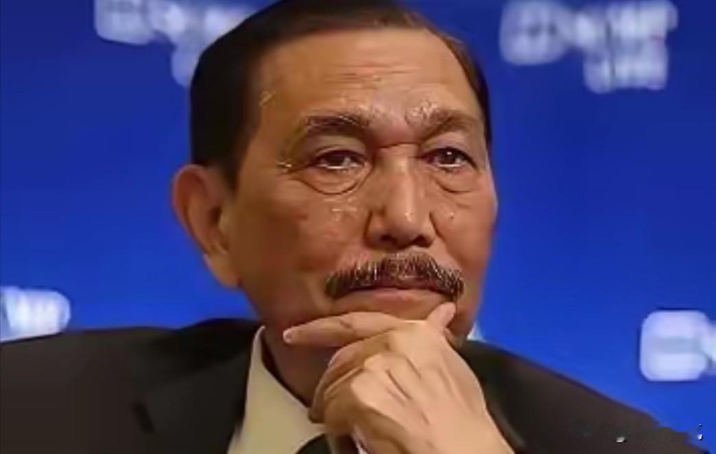 印尼国家经济委员会主席卢胡特称：我告诉总统，不管你喜欢与否，这个国家最大的投资者