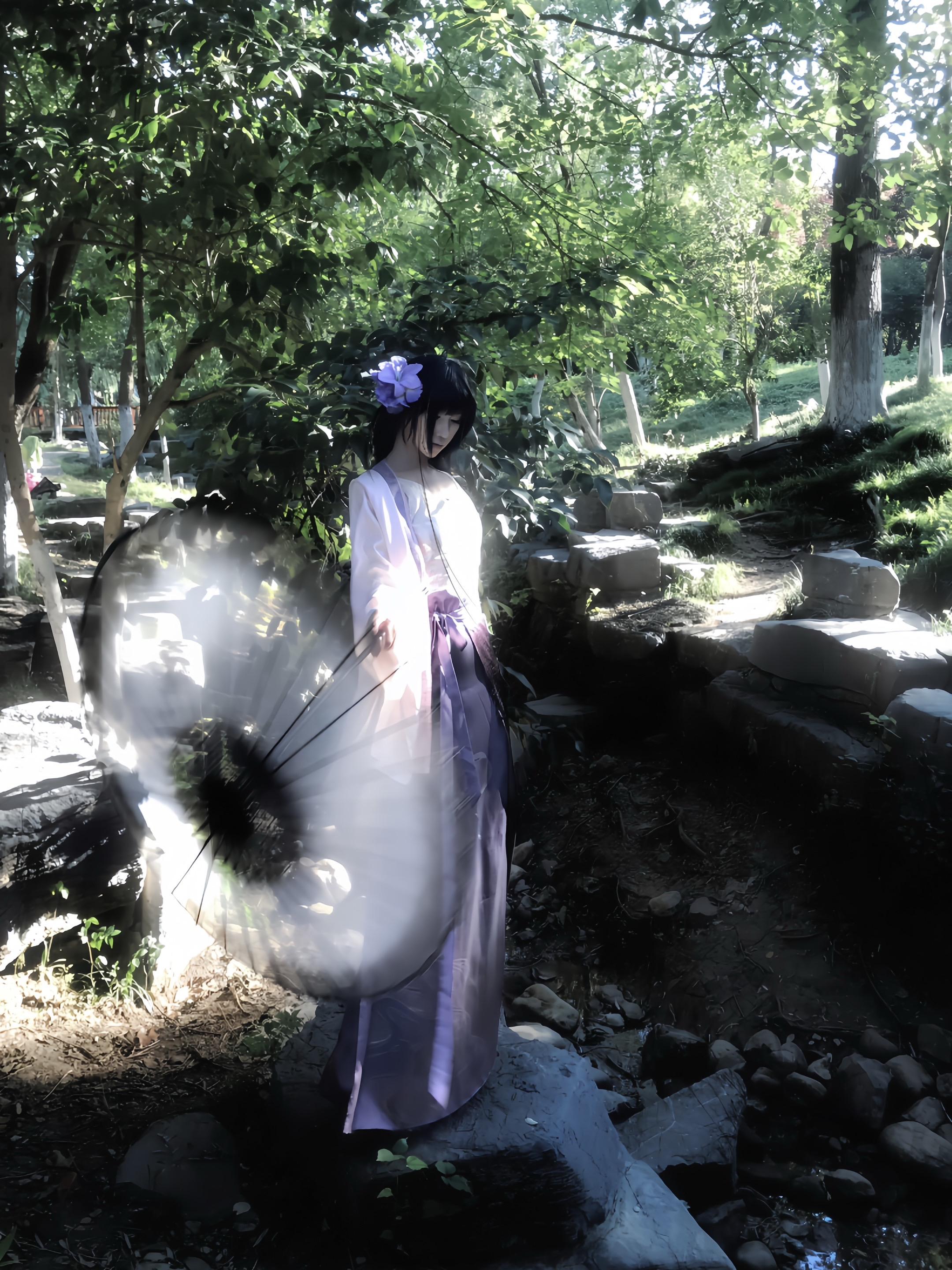 水镜浮蝶影 紫裳渡云烟。