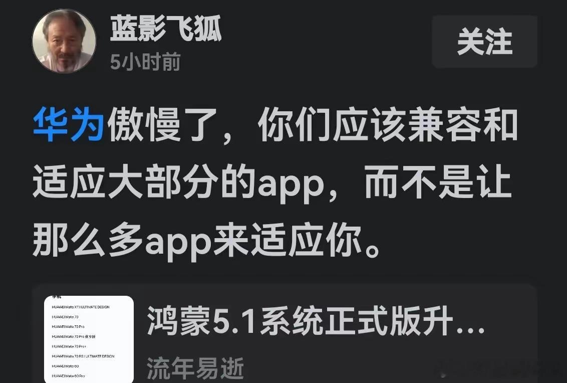 一个操作系统去适配兼容大部分APP？而不是让这么多APP来适配你，我试问全球任何